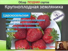 ��������� ��������������.jpg