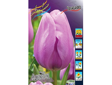 11,74���. ������� �����(���������� ������ ������ ���������� �� 10 ��.)���16.jpg