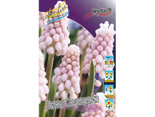 61,36���. ������� ���� ��������(�������� ���� �� 5 ��., ����������� ����� 1��.).jpg