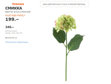 ������ ������.jpg