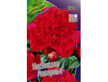 171,1���. ���� ��������� ��������(���������� ������ ������ ���������� �� 1 ��.).jpg