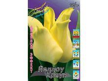 19,17���. ������� ������ �����(�������� ���� �� 10 ��., ����������� ����� 5��.).jpg