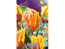 16,94���. ������� ������(�������� ���� �� 10 ��., ����������� ����� 5��.)���17.jpg