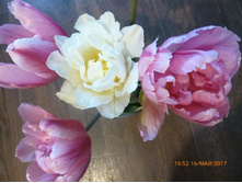 ���� ������