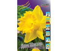 13,23���. ������� ���� ������(���������� ������ ������ ���������� �� 10 ��.)���16.jpg