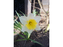 �������. 5� - ��������.