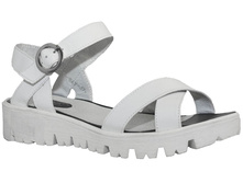 547 ���� �����