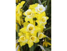 11,74���. ������� ��������(���������� ������ ������ ���������� �� 10 ��.)���17.jpg