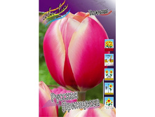 17,68���. ������� ������� ���������(�������� ���� �� 10 ��., ����������� ����� 5��.).jpg