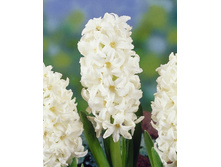 17,54���. ������� ��� ���� 14-15 (���������� ������ ������ ���������� �� 5 ��.)���16.jpg