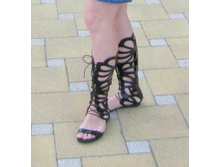 �������� ��������, ޣ���� ����. ������ 40 (��������������, 25.5-26 ��)