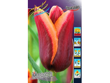 16,2���. ������� ������(�������� ���� �� 10 ��., ����������� ����� 5��.).jpg