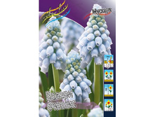 8,77���. ������� ������ ������(���������� ������ ������ ���������� �� 10 ��.).jpg