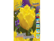 25,85���. ������� ������ �������(�������� ���� �� 10 ��., ����������� ����� 5��.)���16.jpg