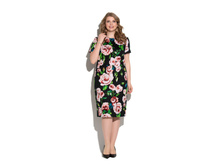 ������! 1245 �. (���� 1795 �. DSPB-01-85