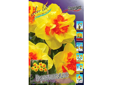 37,6���. ������� ����������(�������� ���� �� 5 ��., ����������� ����� 2��.).jpg