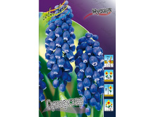 12,19���. ������� ���������(���������� ������ ������ ���������� �� 10 ��.).jpg