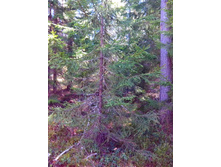 IMG 20170507 133608.jpg