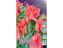 10,55���. ������� �������(���������� ������ ������ ���������� �� 10 ��.).jpg