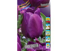 10,26���. ������� �������(���������� ������ ������ ���������� �� 10 ��.)���16.jpg