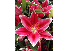 25,04���. ����� ������������(�������� ���� �� 7 ��., ����������� ����� 3��.).jpg