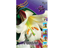 38,56���. ����� ������(�������� ���� �� 5 ��., ����������� ����� 3��.).jpg