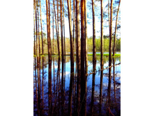 IMG 20170507 154208.jpg