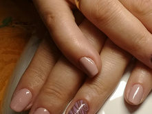 ������� ������ NVi_700���.