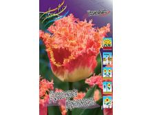 16,94���. ������� ������ ������(�������� ���� �� 10 ��., ����������� ����� 5��.).jpg