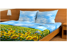 ��������� ����.png