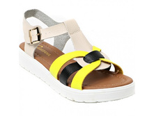 ��������� �������.jpg