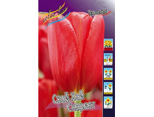 13,23���. ������� ���� ��� �������(���������� ������ ������ ���������� �� 10 ��.).jpg