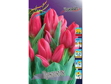 13,97���. ������� �������(���������� ������ ������ ���������� �� 10 ��.).jpg