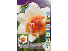 19,91���. ������� ����� ��������(�������� ���� �� 10 ��., ����������� ����� 5��.).jpg