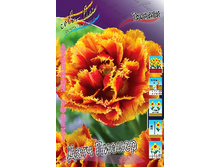 24,37���. ������� ���� ������(�������� ���� �� 10 ��., ����������� ����� 5��.).jpg