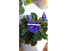 20160416 192948.jpg