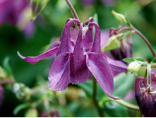 ��������� 50� ���� ��������