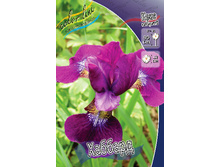 51,9���. ���� ��������� �������(�������� ���� �� 2 ��., ����������� ����� 1��.).jpg