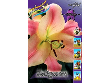 26,66���. ����� �������(�������� ���� �� 5 ��., ����������� ����� 3��.).jpg