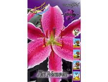 22,99���. ����� �� �����(�������� ���� �� 7 ��., ����������� ����� 3��.).jpg