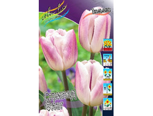 11,74���. ������� ������� ����(���������� ������ ������ ���������� �� 10 ��.)���16.jpg