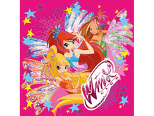 SAL-WX-12 (181100) ����� �� 12-�� �������� ������ �������� ������ WINX � ���. (���� .��.) � ���.6 24��� ���� 90,75 ���. ���� �� ����� 57,17 ���..jpg