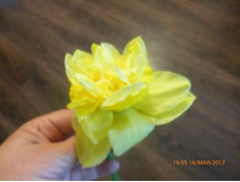 ������� ��� �������