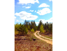 IMG 20170507 112557.jpg