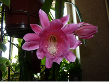 ��������� �������