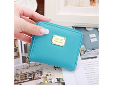 260 ���. - ������� ��������� "SJ-2" (�������)