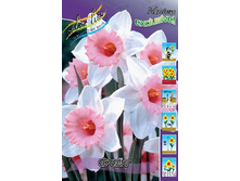 36,8���. ������� ����(�������� ���� �� 7 ��., ����������� ����� 3��.).jpg