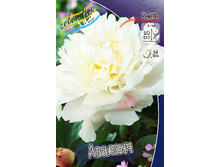 201���. ���� �������(���������� ������ ������ ���������� �� 1 ��.).jpg