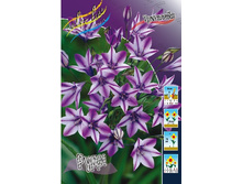 13,67���. ��������� ����(���������� ������ ������ ���������� �� 10 ��.).jpg