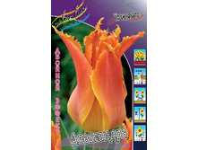 16,94���. ������� ����������(�������� ���� �� 10 ��., ����������� ����� 5��.).jpg